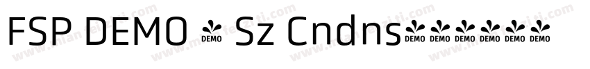 FSP DEMO - Sz Cndns字体转换